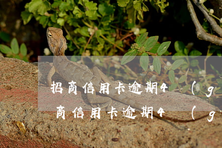 招商信用卡逾期4個(gè)月怎么處理(招商信用卡逾期4個(gè)月怎么處理最快)