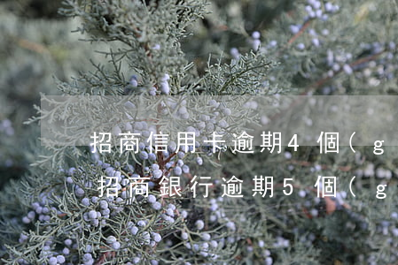 招商信用卡逾期4個(gè)月想全額還款(招商銀行逾期5個(gè)月,現(xiàn)在需要全額還款)