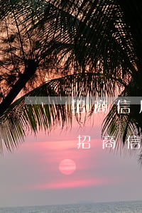 招商信用卡逾期4個(gè)月能解凍嗎-招商信用卡逾期4個(gè)月能解凍嗎多少錢