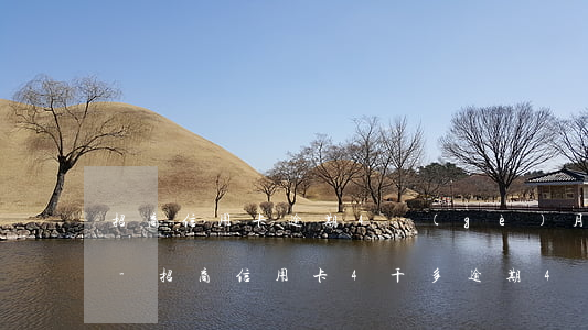 招商信用卡逾期4個(gè)月逾期1萬9-招商信用卡4千多逾期4個(gè)月