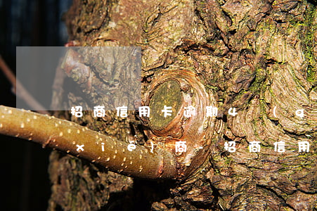 招商信用卡逾期4個(gè)月還可以協(xié)商-招商信用卡逾期4個(gè)月還可以協(xié)商嗎