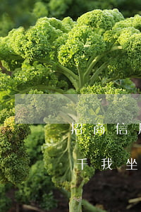 招商信用卡逾期4個月會坐牢嗎-信用卡6千我坐牢了招商銀行信用卡4000多逾期