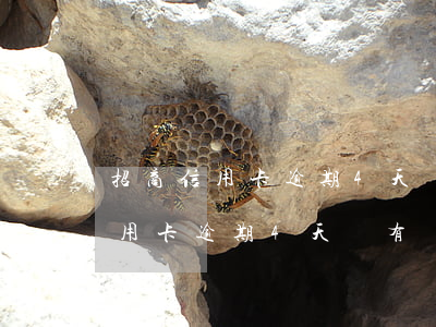 招商信用卡逾期4天沒有電話打來-招商信用卡逾期4天沒有電話打來怎么辦