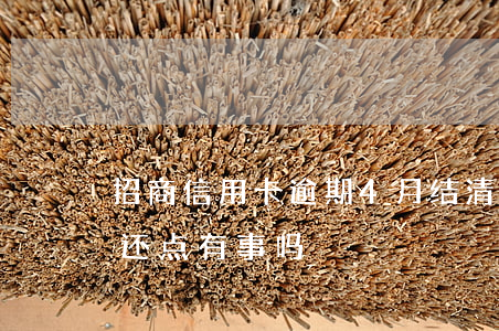 招商信用卡逾期4月结清(招商逾期每个月都还点有事吗)