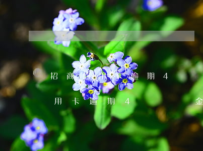 招商信用卡逾期4萬違約金一個月-招商信用卡逾期4萬違約金一個月多少