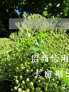 招商信用卡逾期5000怎么辦-招商信用卡逾期5000怎么辦啊 招商信用卡逾期5000怎么辦-招商信用卡逾期5000怎么辦啊