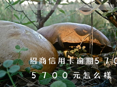 招商信用卡逾期5700元 招商信用卡逾期5700元怎么樣