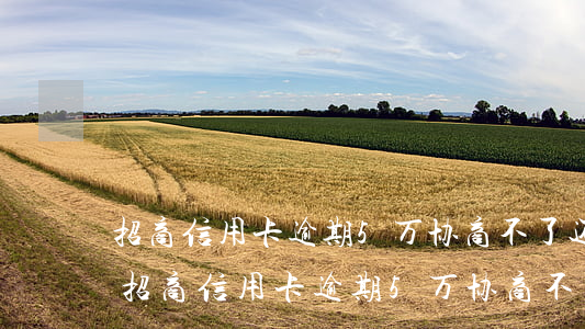 招商信用卡逾期5万协商不了还款怎么办-招商信用卡逾期5万协商不了还款怎么办呢