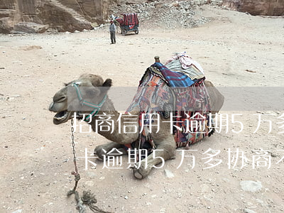 招商信用卡逾期5万多协商不了-招商信用卡逾期5万多协商不了怎么办