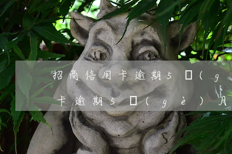 招商信用卡逾期5個(gè)月了(招商信用卡逾期5個(gè)月了可以協(xié)商)