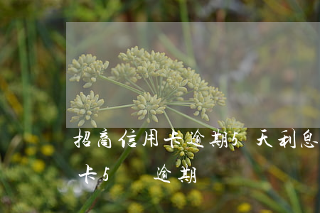 招商信用卡逾期5天利息多少(招商銀行信用卡5萬逾期)
