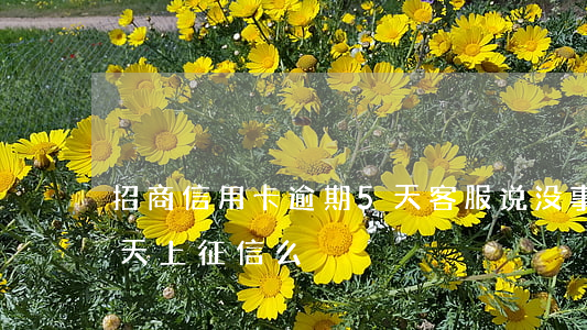 招商信用卡逾期5天客服说没事(招商逾期5天上征信么)