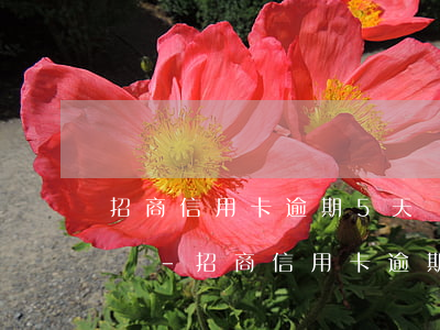 招商信用卡逾期5天會(huì)有不良記錄-招商信用卡逾期5天會(huì)有不良記錄嗎怎么辦