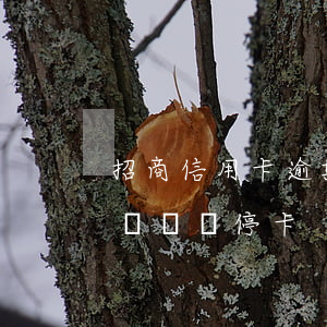 招商信用卡逾期5天被暫停使用(招商逾期多長時間停卡)