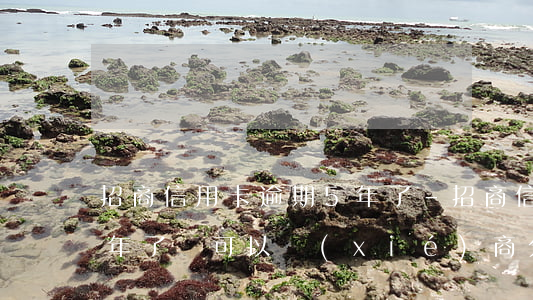 招商信用卡逾期5年了-招商信用卡逾期5年了還可以協(xié)商分期還款嗎