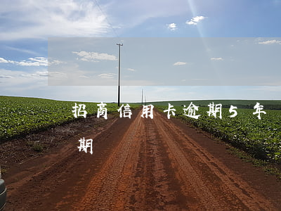 招商信用卡逾期5年親身經歷(招商信用卡 逾期)