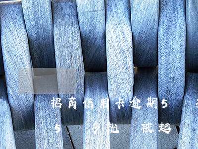 招商信用卡逾期5萬多久會被起訴(招商逾期5萬多就會被起訴)