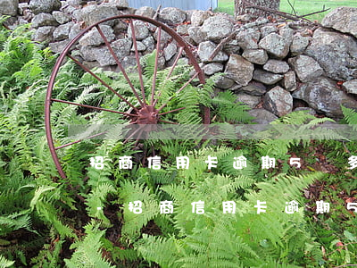 招商信用卡逾期5萬多協(xié)商不了-招商信用卡逾期5萬多協(xié)商不了怎么辦