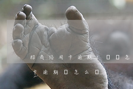 招商信用卡逾期5萬會怎么樣 信用5萬以上卡逾期會怎么樣
