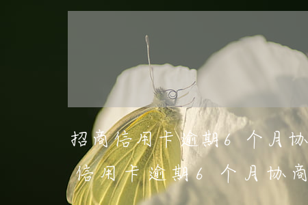 招商信用卡逾期6个月协商还款技巧-招商信用卡逾期6个月协商还款技巧是什么