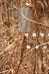 招商信用卡逾期7000说上门 招商银行信用卡8000逾期4个月会上门吗