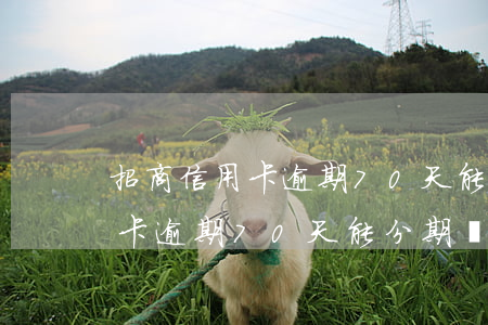 招商信用卡逾期70天能分期嗎-招商信用卡逾期70天能分期嗎