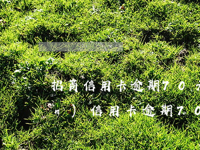 招商信用卡逾期70天能分期嗎(2萬(wàn)信用卡逾期70多天)