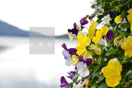 招商信用卡逾期7個月了怎么協(xié)商-招商信用卡逾期7個月了怎么協(xié)商還款