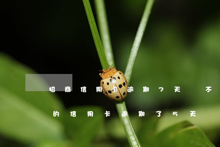 招商信用卡逾期7天會不會上征信(招商銀行的信用卡逾期了5天會上征信嗎)