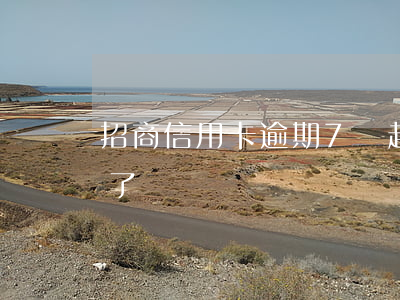 招商信用卡逾期7萬起訴(招商逾期7萬起訴了)
