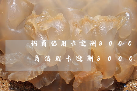 招商信用卡逾期8000一年會變多少-招商信用卡逾期8000一年會變多少錢