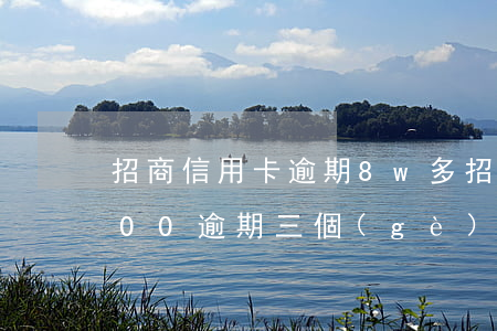 招商信用卡逾期8w多 招商銀行信用卡5000逾期三個(gè)月要起訴我真的么