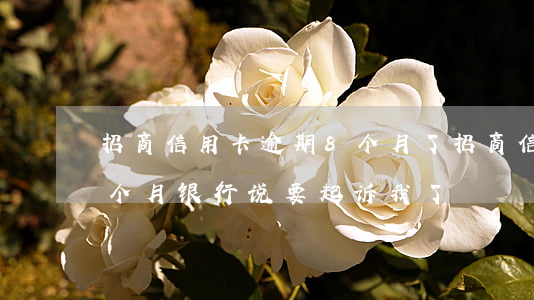 招商信用卡逾期8个月了(招商信用卡逾期四个月银行说要起诉我了)