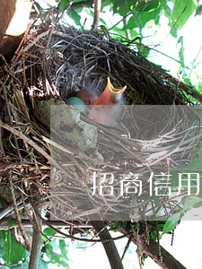 招商信用卡逾期8個(gè)月了有還款嗎