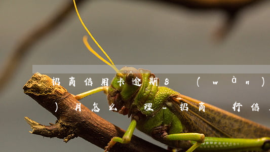 招商信用卡逾期8萬(wàn)3個(gè)月怎么處理-招商銀行信用卡8萬(wàn)逾期2年了