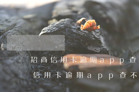 招商信用卡逾期app查不到信用卡-招商信用卡逾期app查不到信用卡賬單