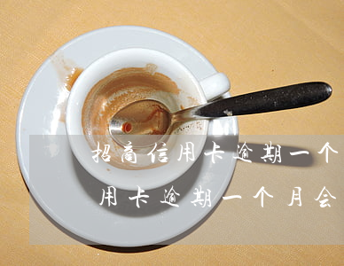 招商信用卡逾期一个月会上征信么-招商信用卡逾期一个月会上征信么吗