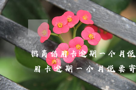 招商信用卡逾期一个月说要寄函件-招商信用卡逾期一个月说要寄函件是真的吗