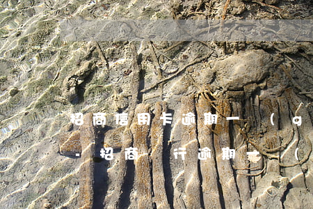 招商信用卡逾期一個(gè)多月無力償還-招商銀行逾期一個(gè)月還能繼續(xù)使用信用卡么