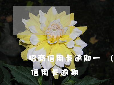 招商信用卡逾期一個(gè)月催收嗎(招商信用卡 逾期)
