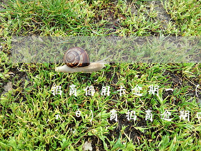招商信用卡逾期一個(gè)月怎么協(xié)商(招商逾期四個(gè)月可以申請(qǐng)協(xié)商么)