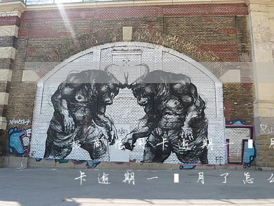 招商信用卡逾期一個月了怎么辦-招商信用卡逾期一個月了怎么辦啊