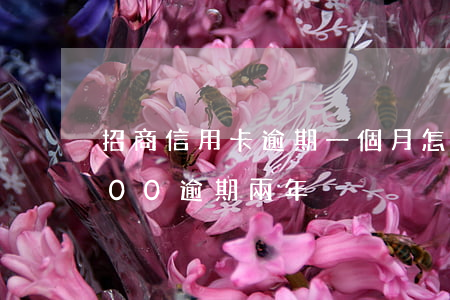招商信用卡逾期一個月怎樣(招商信用卡7000逾期兩年)