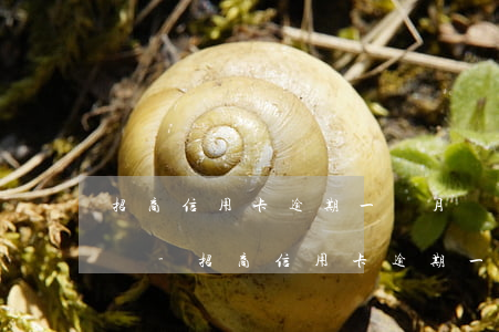招商信用卡逾期一個月會凍結(jié)卡嗎?-招商信用卡逾期一個月會凍結(jié)卡嗎安全嗎