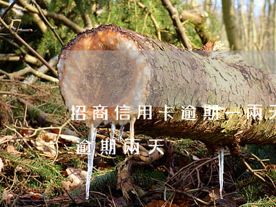 招商信用卡逾期一兩天有征信嗎(招行信用卡逾期兩天)