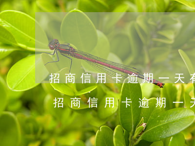 招商信用卡逾期一天有逾期費(fèi)嗎（招商信用卡逾期一天有逾期費(fèi)嗎）