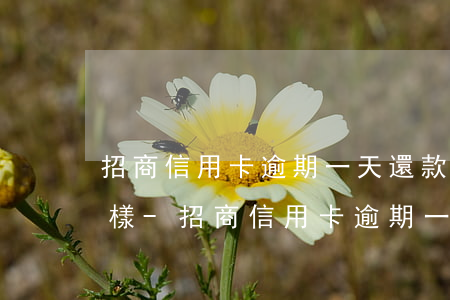 招商信用卡逾期一天還款會(huì)怎么樣-招商信用卡逾期一天還款會(huì)怎么樣啊