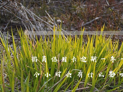 招商信用卡逾期一年一万(招商信用卡逾期一个小时会有什么影响)