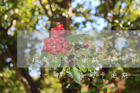 招商信用卡逾期一年可以協(xié)商還嘛-招商信用卡逾期一年可以協(xié)商還嘛