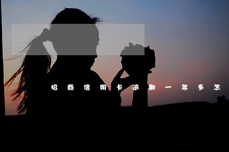 招商信用卡逾期一年多怎么协商